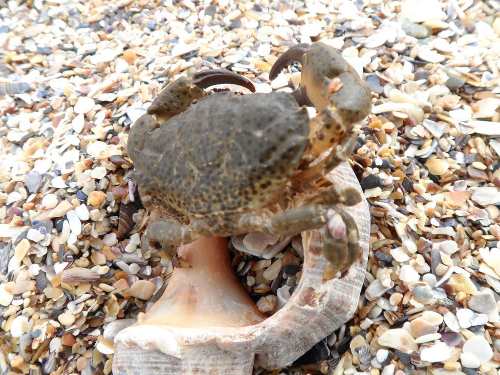 Vilele Brise De Mer 2 Mai Exterior photo